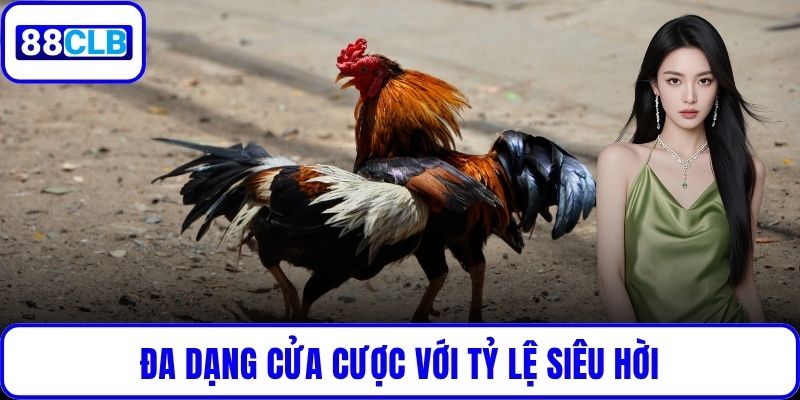 Đa dạng cửa cược với tỷ lệ siêu hời