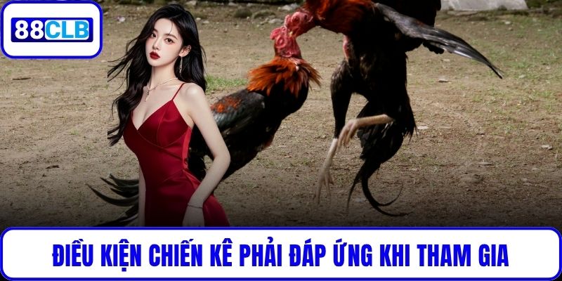 Điều kiện chiến kê phải đáp ứng khi tham gia
