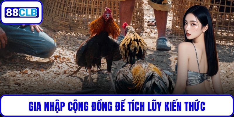 Gia nhập cộng đồng để tích lũy kiến thức