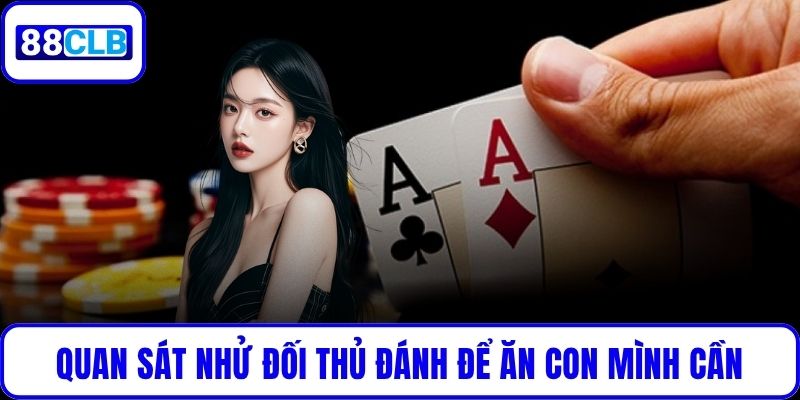 Quan sát nhử đối thủ đánh để ăn con mình cần