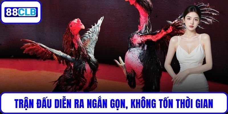 Trận đấu diễn ra ngắn gọn, không tốn thời gian